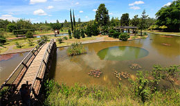 jardimbotanico
